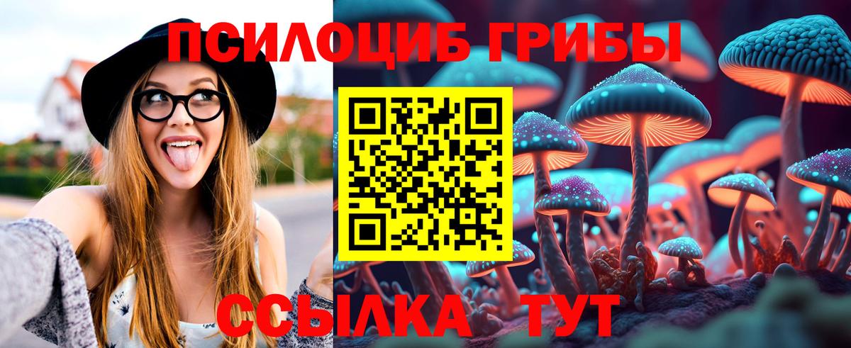 Галлюциногенные грибы мицелий Саранск