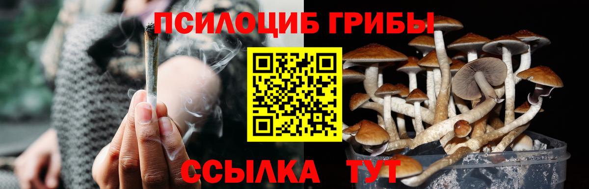 Галлюциногенные грибы прущие грибы  Галлюциногенные грибы Magic Shrooms  Саранск  наркота  Вход с VPN 