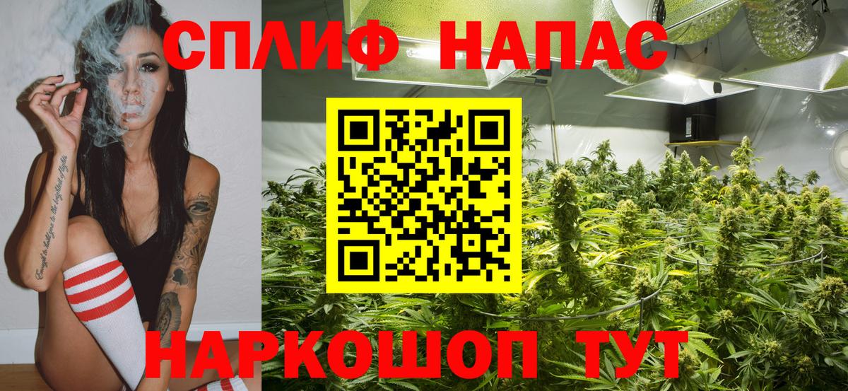 Бошки Шишки AK-47 Саранск